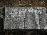 image of grave number 449128